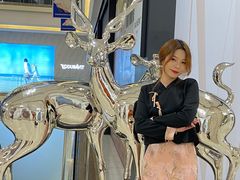 -红星美凯龙北京至尊MALL(东四环中路店)