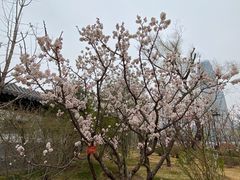 -迎泽公园
