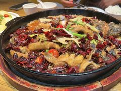 -老板恋上鱼(印象城店)