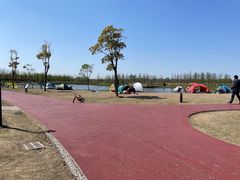 -春花秋色城市公园