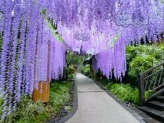 -融汇温泉