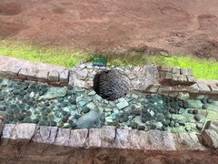 -南越王博物院(王宫展区)
