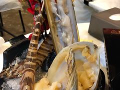 -鲜入围煮花胶鸡海鲜火锅