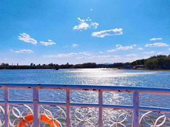 -大兴滨河森林公园