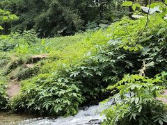 -重庆彩云湖湿地公园