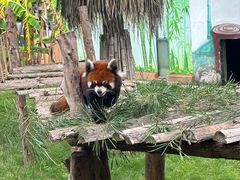 -泉州海丝野生动物世界