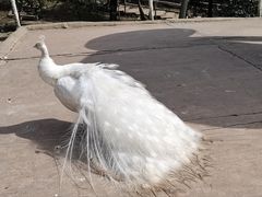 -哈尔滨北方森林动物园