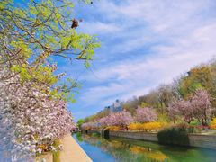 -海棠花溪(元大都城垣遗址公园)