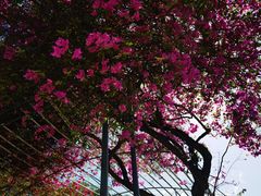 -三亚南山文化旅游区