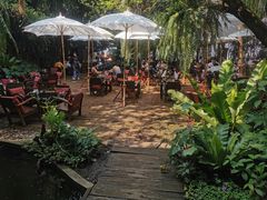 -Fern Forest Cafe