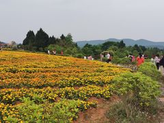 -中国香山·寿香谷