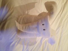 涵田度假村酒店-天目湖涵田度假村