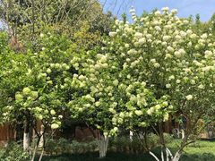 -杭州城北体育公园