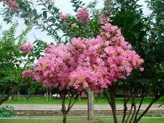 -文华公园(禅城区)