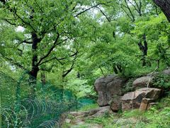 -崂山九水游览区