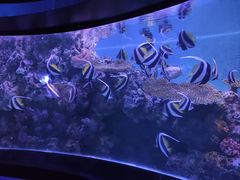 -正佳极地海洋世界
