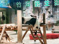 -栾川竹海野生动物园