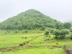 -关山草原