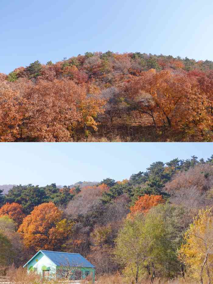 瀋陽國家森林公園-