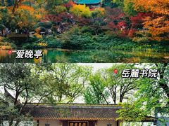 -岳麓山风景名胜区