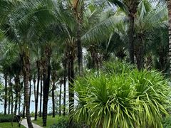 -味餐厅·海鲜·火锅·自助餐