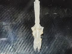 -老财土菜馆·砂锅雅鱼(廊桥店)
