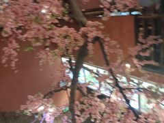 -京都小酒馆(悦城店)