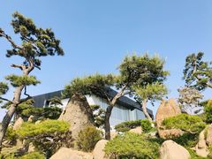 -罗红摄影艺术馆