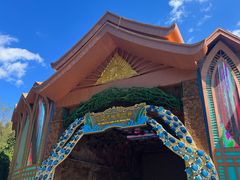 -西双版纳原始森林公园