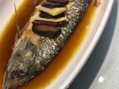 鲥鱼-老人和饭店(淮海中路店)