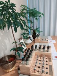 点击看大图 -东英经典SKIN&SPA