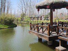 -合肥滨湖国家森林公园