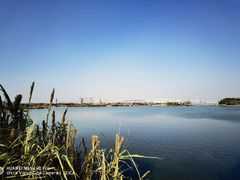 -贡湖湾湿地公园