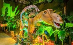 -恐龙探索乐园(磁器口店)