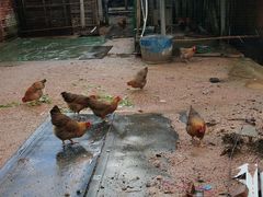 -堤边美食