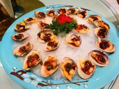 -渔娘渔家丹东海鲜(东直门店)