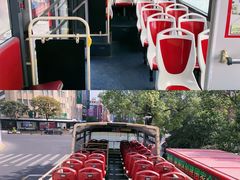 -BUS TOUR观光巴士