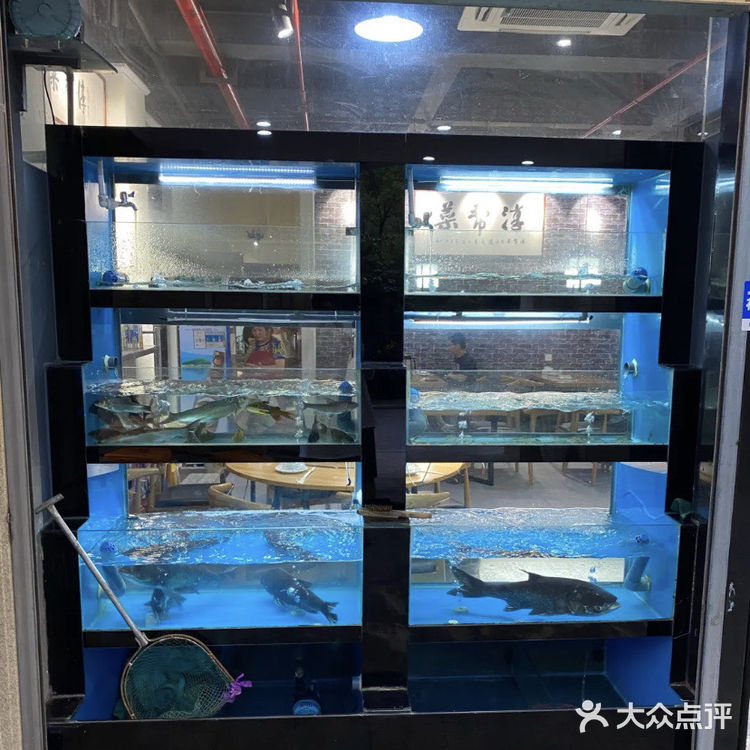 千岛湖美食💕无法拒绝的美味鱼头