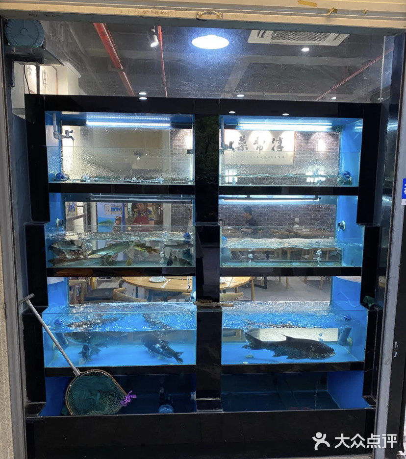 千岛湖美食💕无法拒绝的美味鱼头