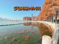 -武汉动物园