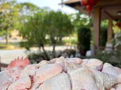 -兴隆槟榔园休闲农庄