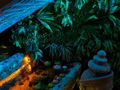 -丽晶大班SPA(大沽店)