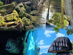 -梭布垭石林景区