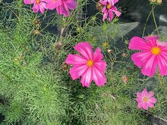 -白草畔自然风景区