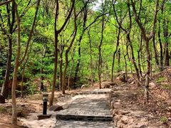 -云峰山自然风景区