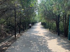 -府君山公园
