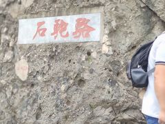 -阳台山自然风景区