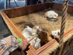 -酷嗒动物文化乐园(cutezoo西溪乐天城店)