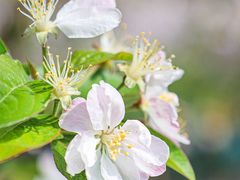 -海棠花溪(元大都城垣遗址公园)
