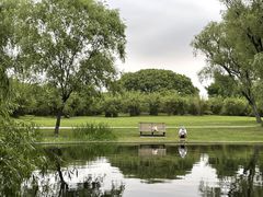 -上海共青森林公园